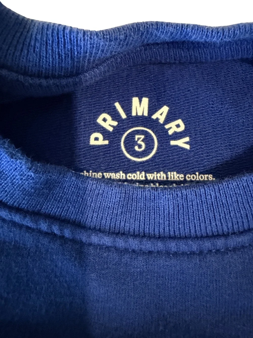 Primary Kids Crewneck Sweatshirt - Royal Blue